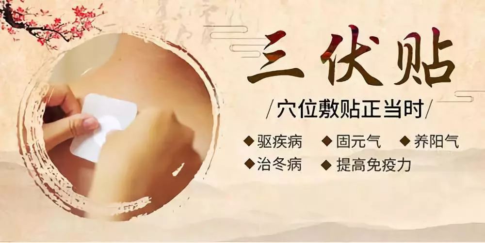 關于三伏貼，你了解多少呢？