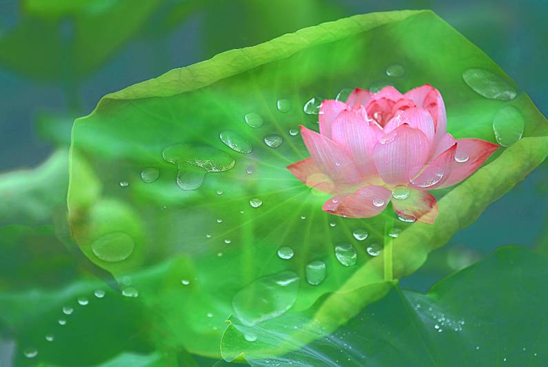 醫(yī)療器械網(wǎng)：失眠該怎么辦？